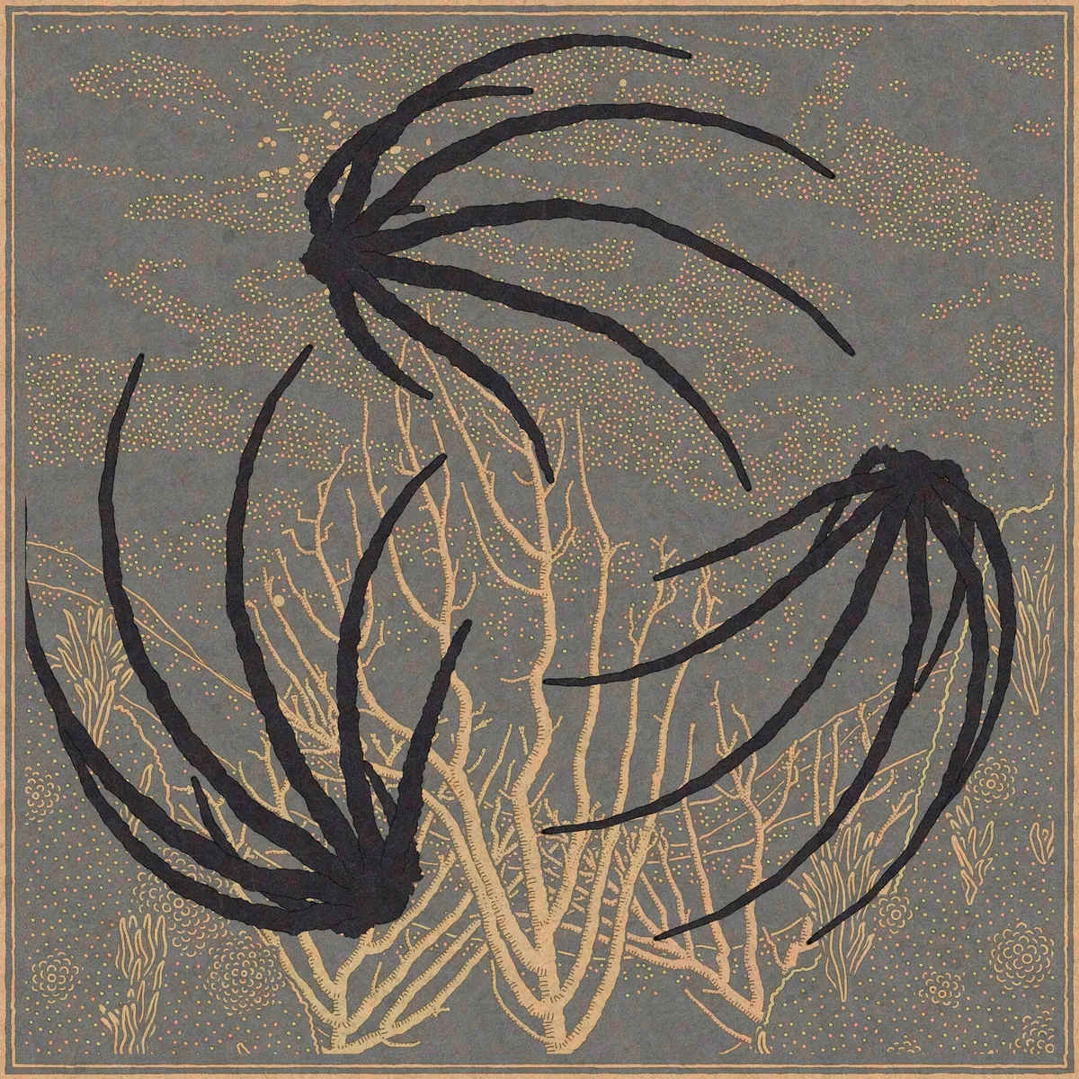 Drifters by Monokai